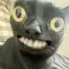 jack - @jackmaxey5 - TikTok