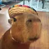 jackmaxey83 - @jackmaxey83 - TikTok