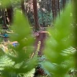 Jack Mayhoff - @pacificspirit_freeridesociety - Instagram
