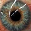 Artest - @jackmayoff - TikTok