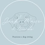 Sara & Michele - @jackmaze.and.friends - Instagram