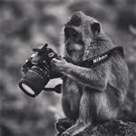 Jack McCain - @jackmc_9 - Instagram