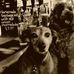 Jackie McCambridge - Facebook