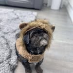 Jack mccarroll - @jack.mccarroll12 - Instagram