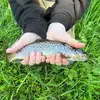 Jack McCarron 🎣 - @jack.mccarron.spam - TikTok