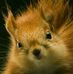 Jack Mcchesney - Facebook