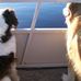 Jack McChesney - Facebook