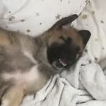 Jack82 - @jack_mcclellan82 - Instagram