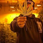 Jack Mcclinton Exotics - @mcclintonexotics - Instagram
