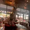 jackmcclinton49 - @jackmcclinton49 - TikTok