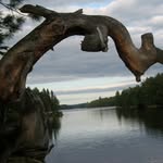 Jack McEachern - @jack.mceachern - Instagram