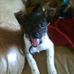 Jackie McGettigan - Facebook