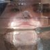 Kaitlyn Jackson Mcgettigan - Facebook