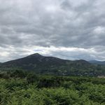@jack._mcgregor_ - Instagram