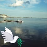 Jack Mckernan - @jackmckernan4219 - Instagram
