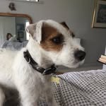 Jacks Mckillop - @jacksmckillop - Instagram