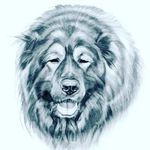 Jack MClaren - @jackson_mclaren14 - Instagram