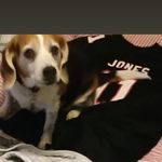 jack Mclellan, Unknown Baller - @jackmclellan032020 - Instagram