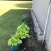 Jack Mclendon - Facebook