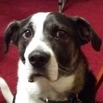Jack McMaster - @jack.mcmaster.547 - Instagram