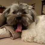 Jack McMinn - @jjmcminn - Instagram