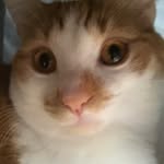Jack mctaggart - @mr_pickle_boy1 - Instagram
