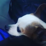 Jacky McTaggart - @jacky_mctaggart - Instagram