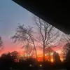 jack_meadows310 - @jack_meadows77777 - TikTok