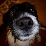 Jack Meadows - @crazyy__jack - Instagram