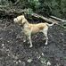 Jack Meadows - Facebook