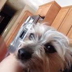 Jack - @jack.mello - Instagram