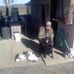 Jack Menefee - Facebook