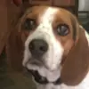 jackMeyer_yt - @jack_meyer_yt - TikTok