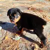 jack_miceli - @user4321860634055 - TikTok