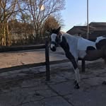Jack Millard - @jack.millard.7545 - Instagram