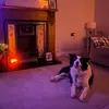 jack milner - @jjmilner_13 - TikTok