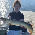Jack Moe - @jackm8801 - Instagram