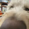 Jack_moe - @jackmtcr48f - TikTok