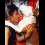 Jack Morelli - @jackmorellidog - Instagram