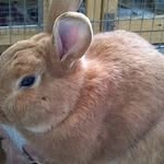 Jack Mortimer - @mortimer_jack22 - Instagram