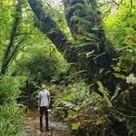 Jack Mortimer - @jackmortimerphoto - Instagram
