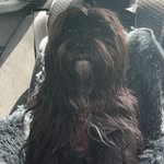 Jack - @jackmoser2020 - Instagram