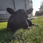 Jack Moser - Facebook
