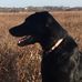 Jack Moskowitz - Facebook