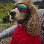 Jack Motero - @jack_motero - Instagram