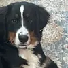 Jack Mummert - @jack.mummert - TikTok