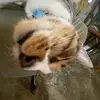 Jack Munn - @jack.munn8 - TikTok