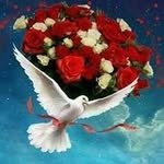 Abo.Jack Najar - @abo.jacknajar - Instagram