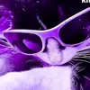 Jackbot1279 - @jacksonnauman311 - TikTok