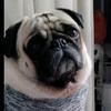JACK - @jack_navarro_ - TikTok